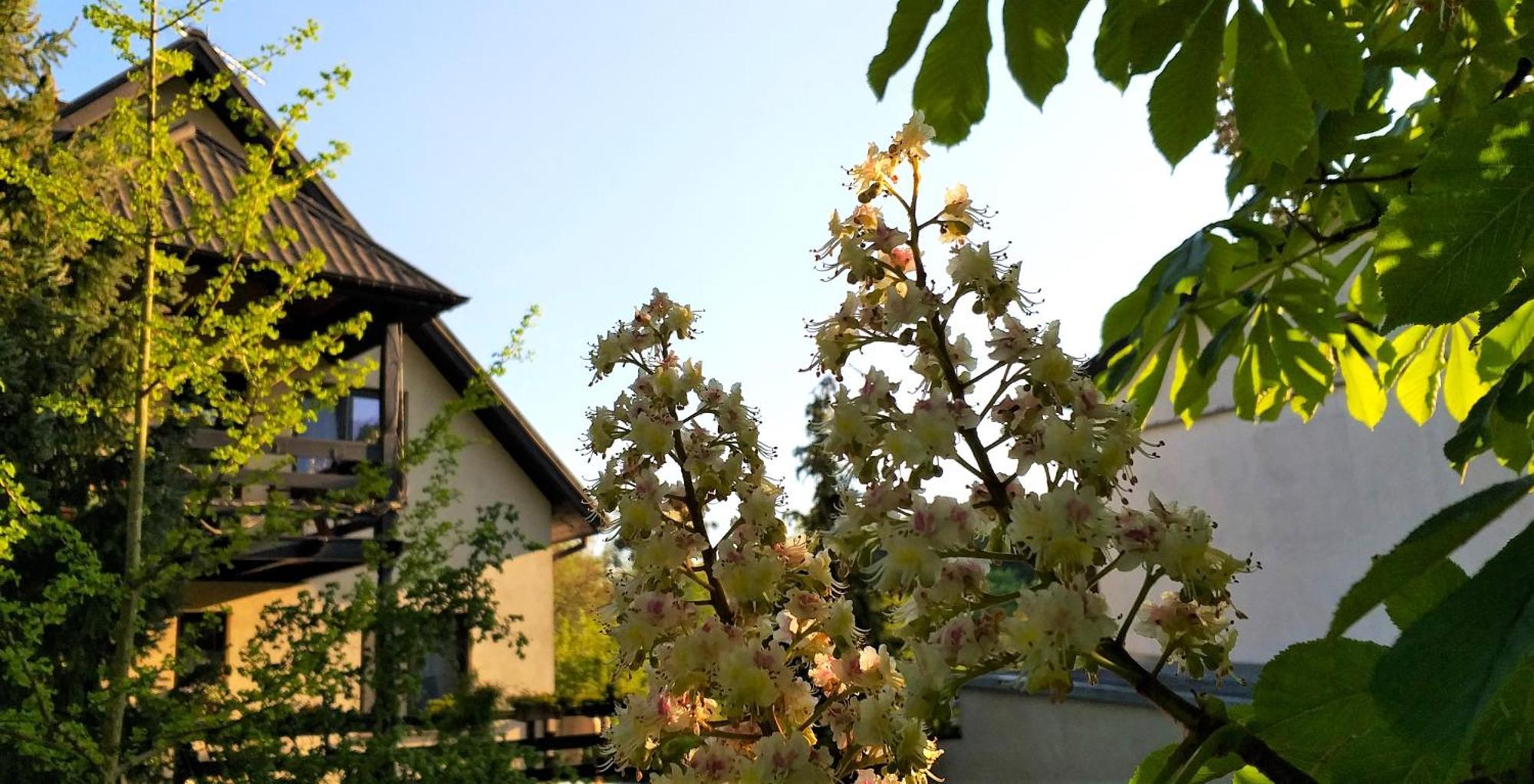 Dom Pod Kasztanami Apartment Kazimierz Dolny Bagian luar foto