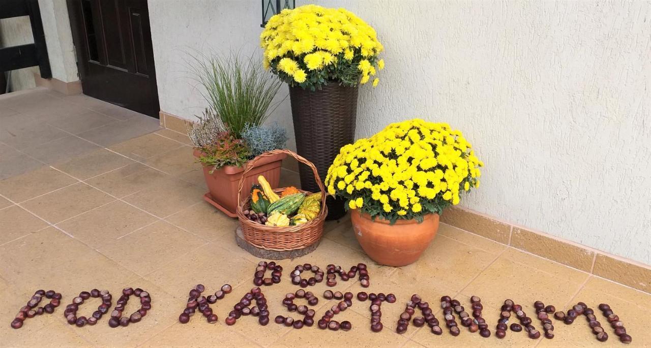 Dom Pod Kasztanami Apartment Kazimierz Dolny Bagian luar foto